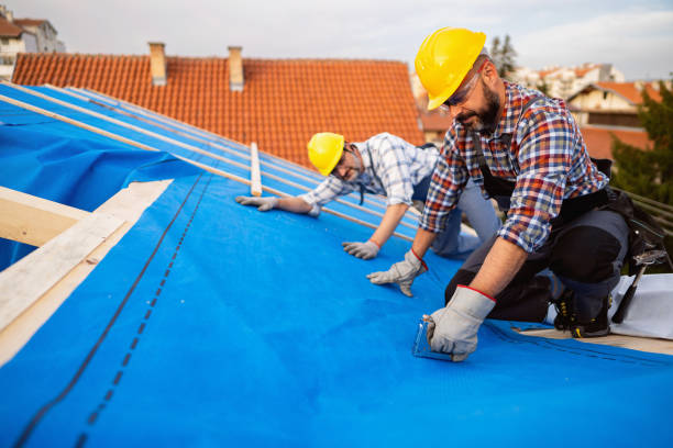 Best Storm Damage Roof Repair  in Pampa, TX